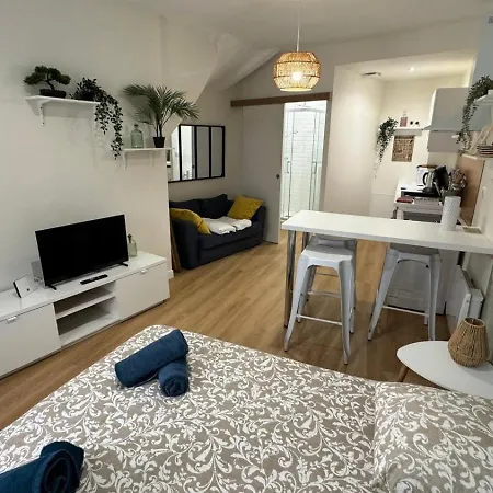 New Cosy Sereni - 4 Pax -chateau Et Terrasse 30m² Lourdes
