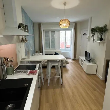 New Cosy Sereni - 4 Pax -chateau Et Terrasse 30m² Apartamento Lourdes